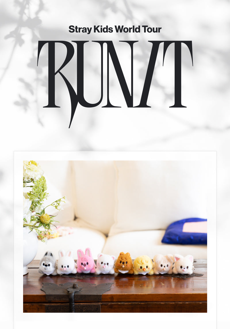 Stray Kids - RUN IT SEOUL MD / SKZOO SECRET WIND-UP PLUSH (Random