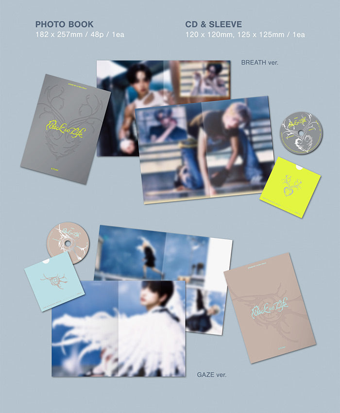 &TEAM - Back To Life - K-Pop Time