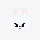Stray Kids - dominATE JAPAN MD / IMAGE PICKET CASE