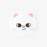 Stray Kids - dominATE JAPAN MD / IMAGE PICKET CASE