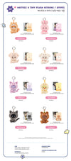 ATEEZ - ANITEEZ IN COLOR / ANITEEZ X TINY PLUSH KEYRING