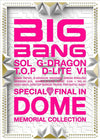 BIGBANG - Special Final in Dome Memorial Collection (Japanese CD+DVD Edition)