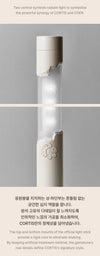 CORTIS - OFFICIAL LIGHT STICK