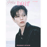 STRAY KIDS - SKZ IT TAPE 'DO IT' / Accordian ver.