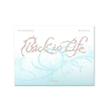 &TEAM - Back To Life / Photocard Box (Mini CD-R version)