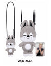 Stray Kids - RUN IT SEOUL MD / SKZOO PLUSH CROSS BAG + PHOTOCARD