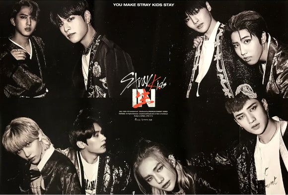 Poster: Stray Kids - In Life