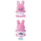 Stray Kids - SKZOO Everywhere All Around The World / SKZOO PLUSH HUG ME Ver.