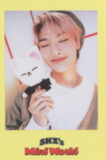 Stray Kids - 'SKZ's Mini World' Pre-Order Benefit Photocard