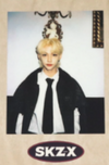 Stray Kids - '#LoveSTAY SKZ-X' Benefit Polaroid Photocard