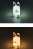 SEVENTEEN - MINITEEN 2ND OFFICIAL MD / MINI MOOD LAMP