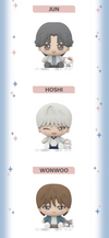 SEVENTEEN X SANRIO CHARACTER OFFICIAL MD / FIGURES (RANDOM) *PREORDER CLOSED*