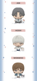 SEVENTEEN X SANRIO CHARACTER OFFICIAL MD / FIGURES (RANDOM) *PREORDER CLOSED*