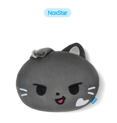 ENHYPEN - ENCHIN Goods / FACE CUSHION *2ND PREORDER CLOSED* - K