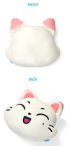 ENHYPEN  - ENCHIN Goods / FACE CUSHION *2ND PREORDER*