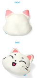 ENHYPEN  - ENCHIN Goods / FACE CUSHION *2ND PREORDER*