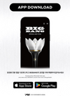 BIGBANG - OFFICIAL LIGHT STICK / 20TH ANNIVERSARY EDITION  *PREORDER DATE TBC*