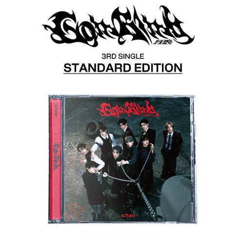 &TEAM - Go in Blind  / Japanese Standard Edition