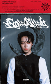 &TEAM - Go in Blind  / Solo Editions