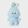 NEWJEANS - BUNINI MEDIUM-SIZED DOLL