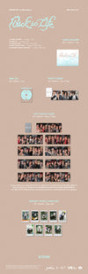 &TEAM - Back To Life / Photocard Box (Mini CD-R version)