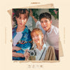 Record of Youth O.S.T - tvN Drama (Various Artists)