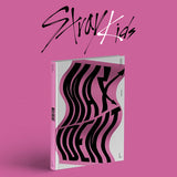 STRAY KIDS - MAXIDENT (GO ver. / LIMITED) (Incomplete contents)
