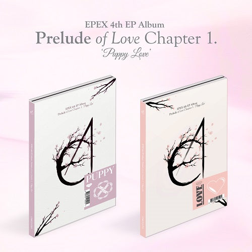 EPEX - Prelude of Love Chapter 1. Puppy Love (Random)